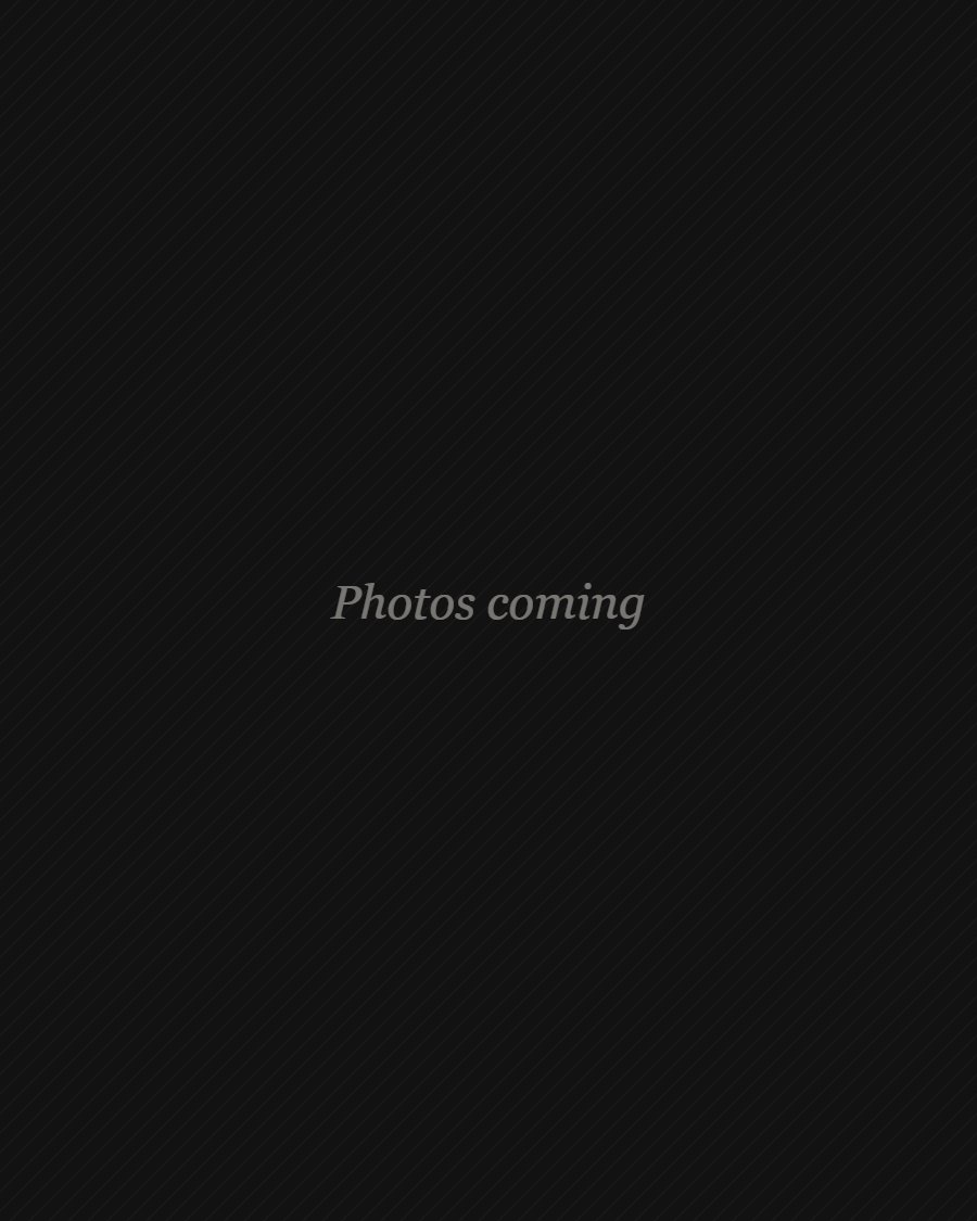 {{ car.name }}